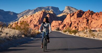 ¿Por qué moverse en bicicleta?